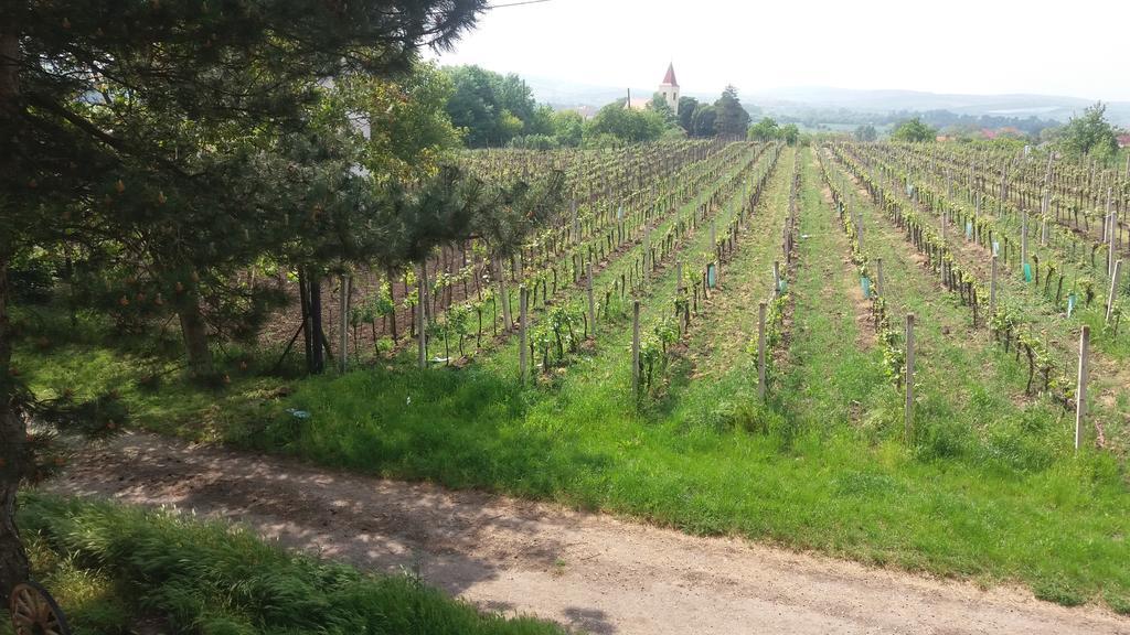 Penzion u Tomčalů Terezín Esterno foto